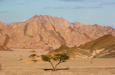 Bon vendredi...et bon week-end...